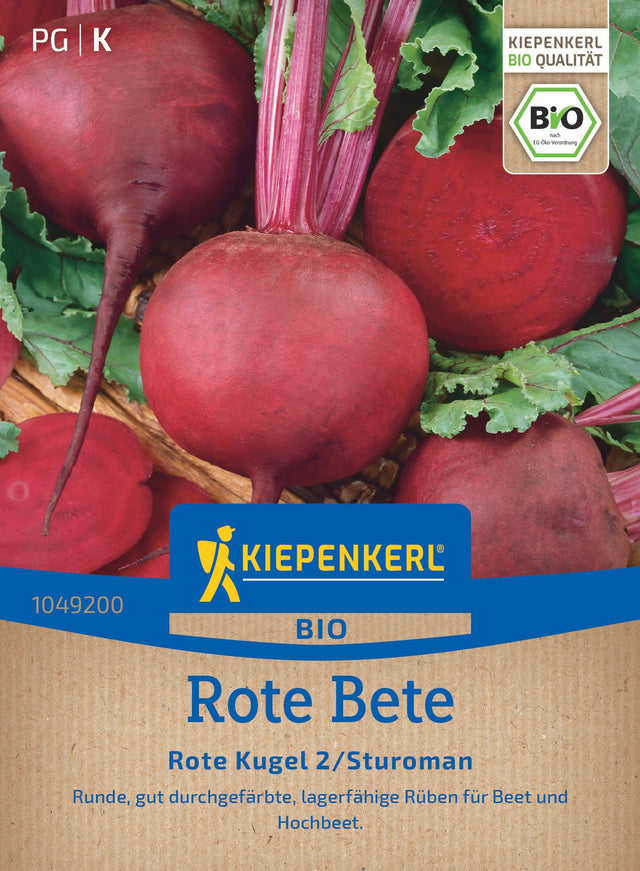 Kiepenkerl Rote-Beete Rote Kugel 2/Sturoman