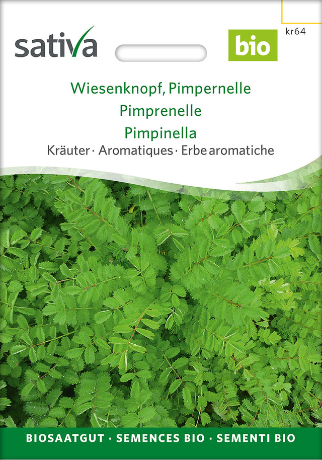 Sativa Wiesenknopf Pimpernelle