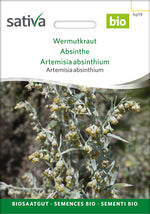 Sativa Artemisia absinthium Wermutkraut
