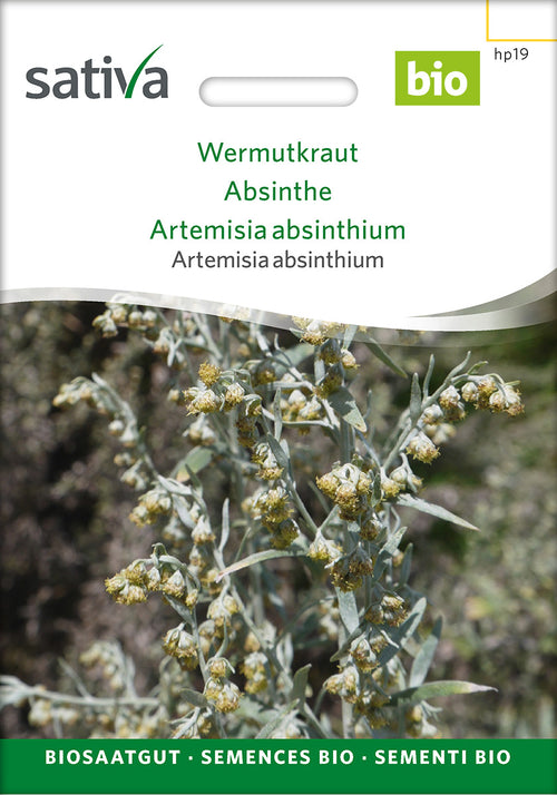Sativa Artemisia absinthium Wermutkraut