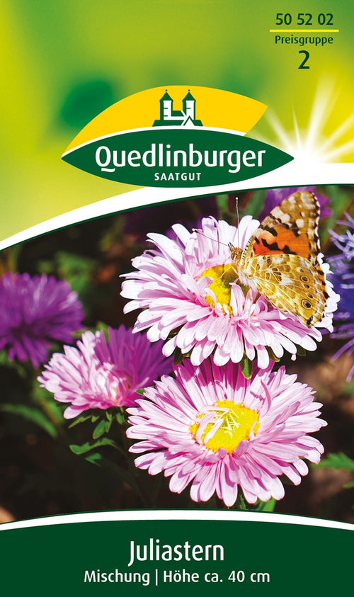 Quedlinburger Juliaster Mischung