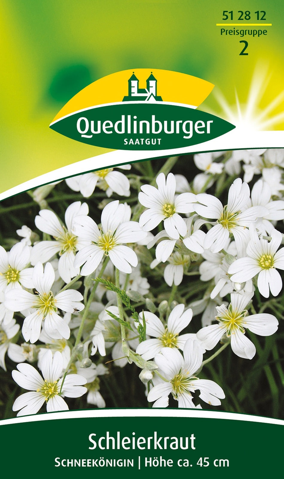 Quedlinburger Schleierkraut Schneekönigin, weiß, einjährig