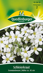 Quedlinburger Schleierkraut Schneekönigin, weiß, einjährig