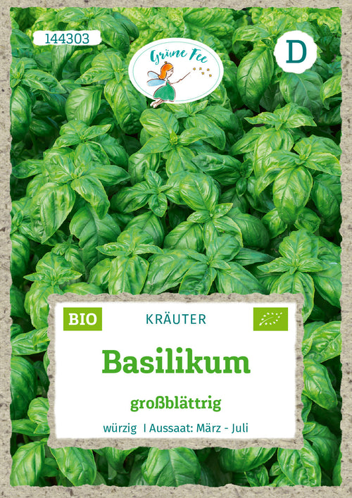 Grüne Fee Basilikum Großblättrig, dunkelgrün