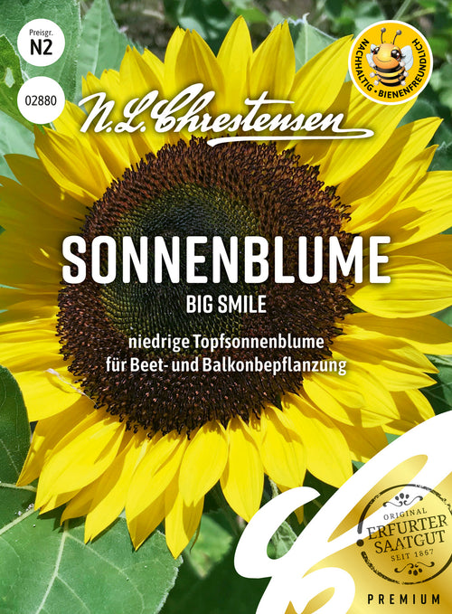 N.L. Chrestensen Sonnenblume Big Smile