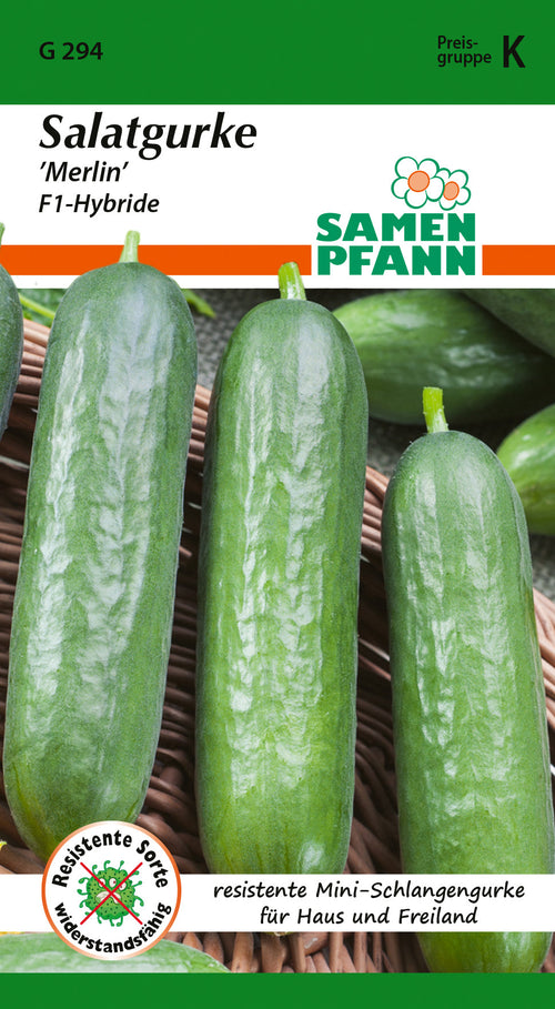 Samen Pfann Salatgurke Merlin
