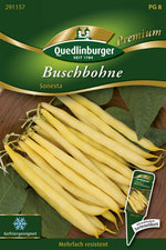 Quedlinburger Buschbohne Sonesta