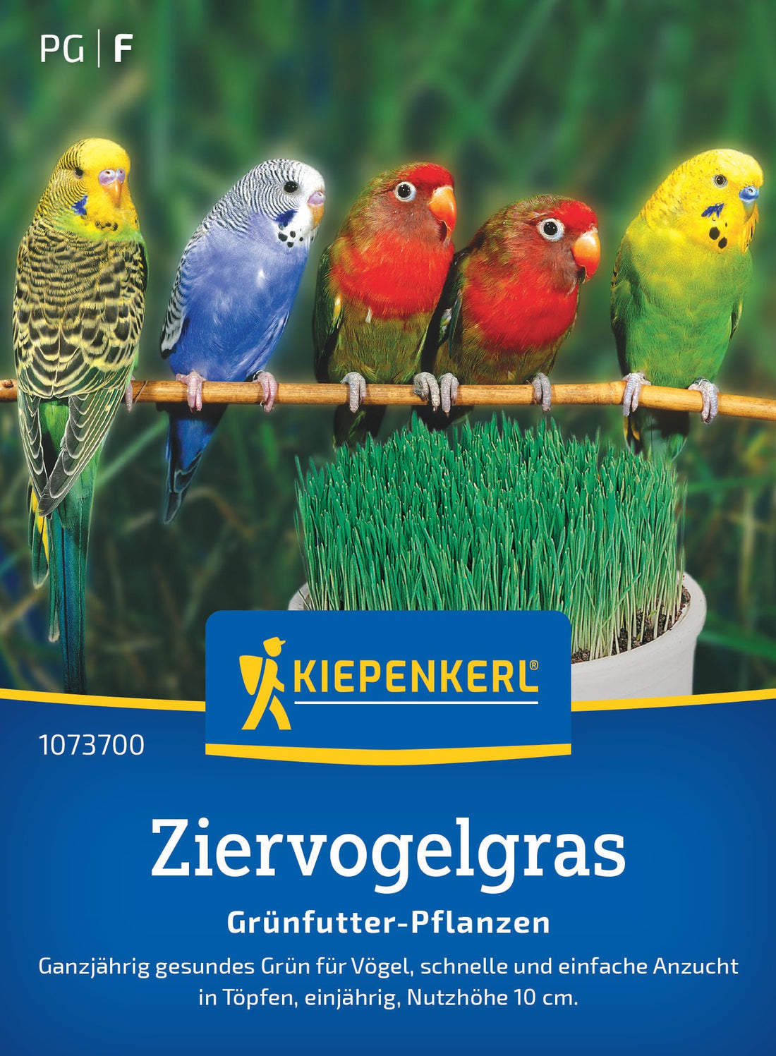 Kiepenkerl Frischfutterpflanzen Ziervogel Mischung Loses Saatgut