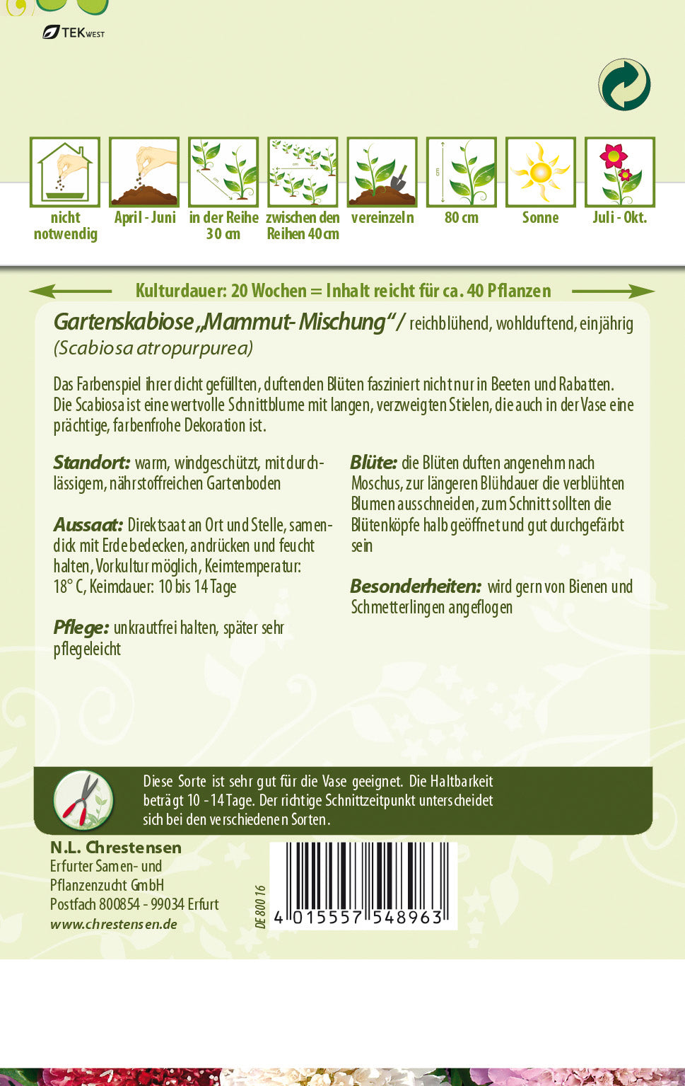 N.L. Chrestensen Gartenskabiose Mischung