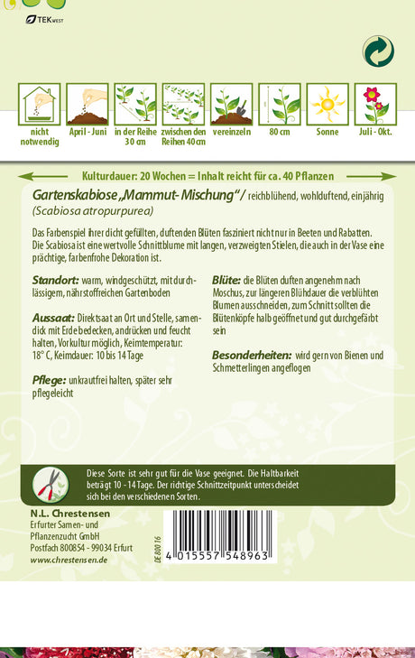 N.L. Chrestensen Gartenskabiose Mischung