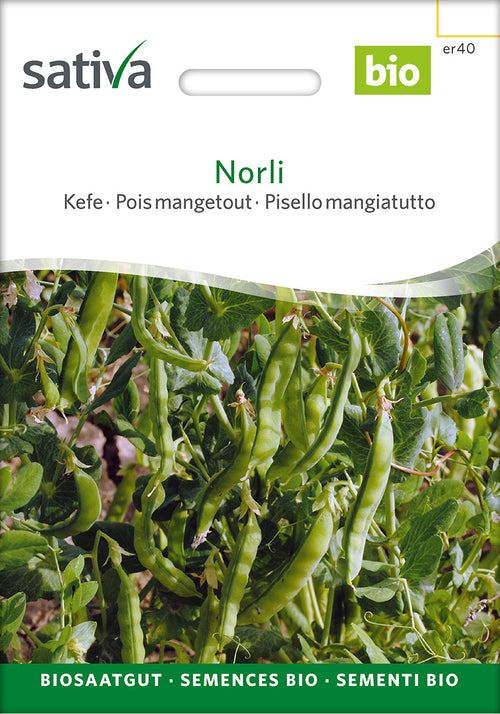 Sativa Kefe Norli