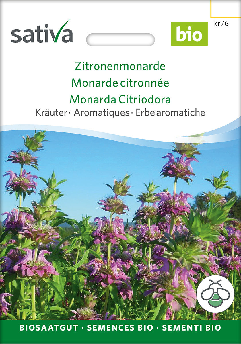 Sativa Zitronenmonarde