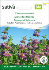 Sativa Zitronenmonarde