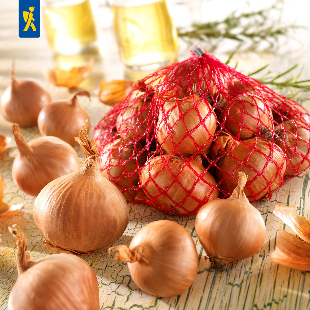 Kiepenkerl Schalotten Red Sun 400 g