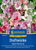 Kiepenkerl Wicken Ripple Mischung