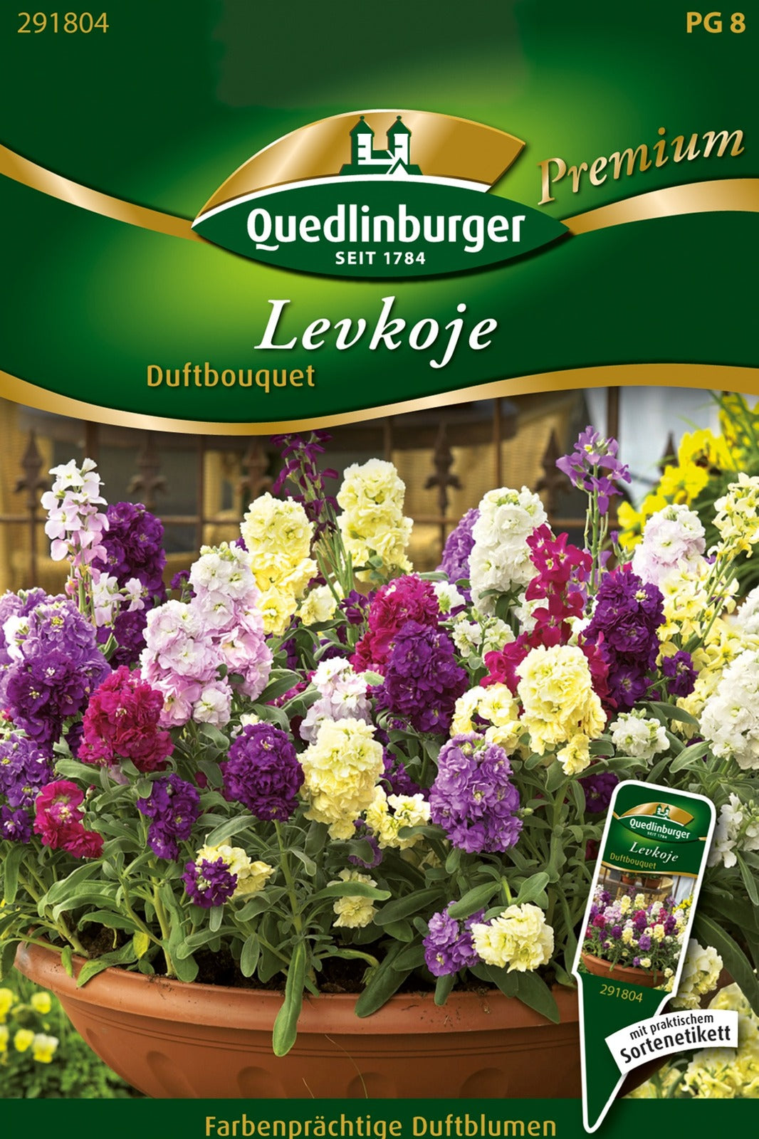Quedlinburger Levkoje Duftbouquet