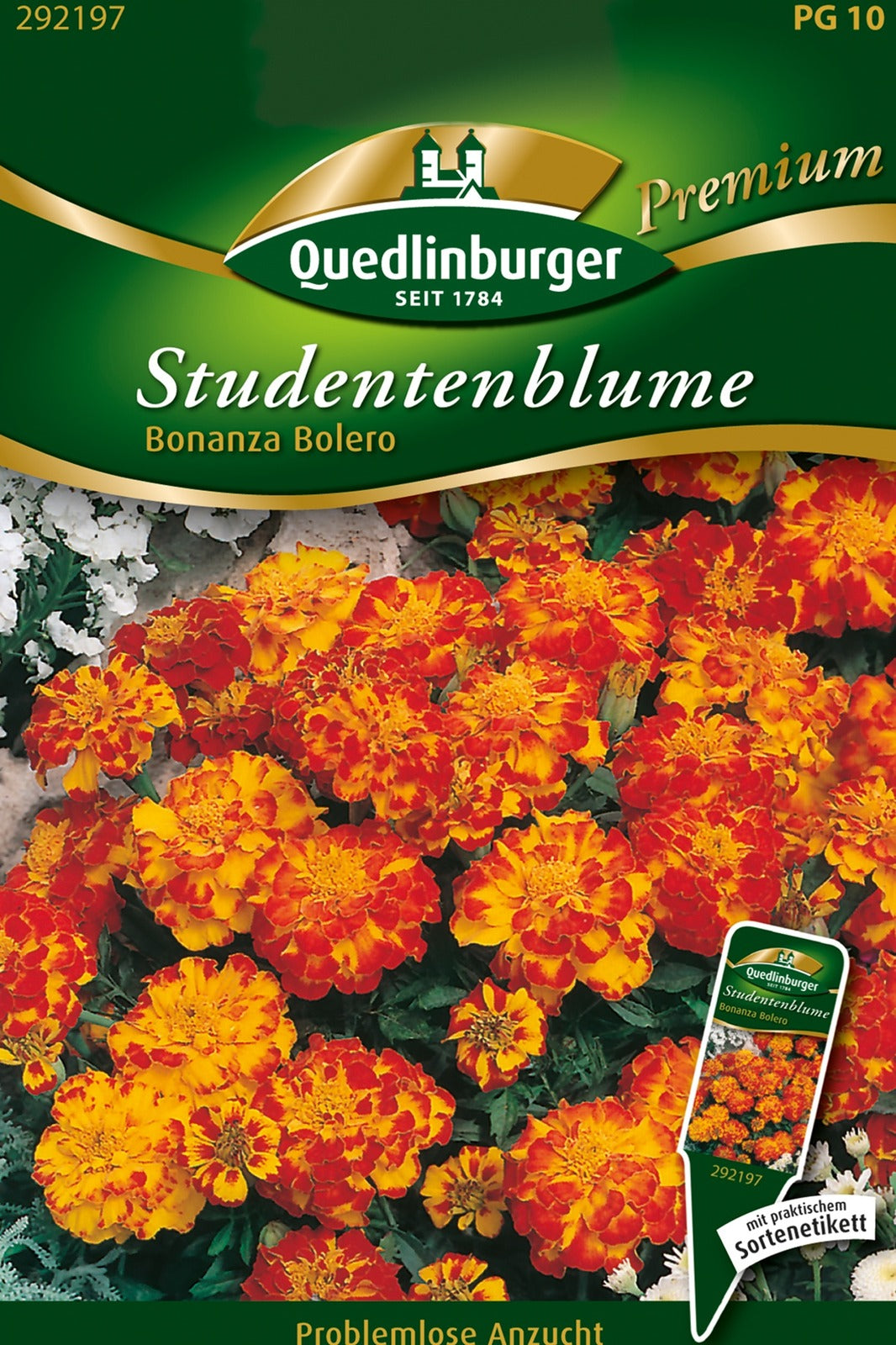 Quedlinburger Studentenblume Bonanza Bolero