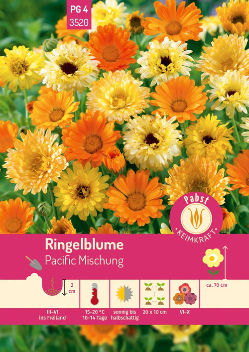 Pabst Keimkraft Ringelblumen Pacific Beauty Mischung