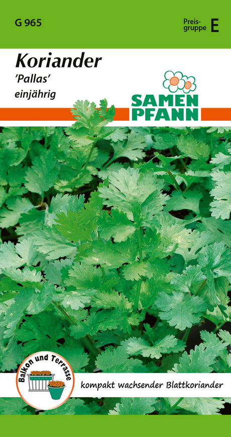 Samen Pfann Koriander Pallas