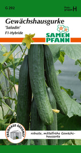 Samen Pfann Saladin Salatgurken