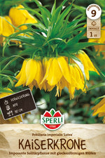 Kaiserkrone Lutea