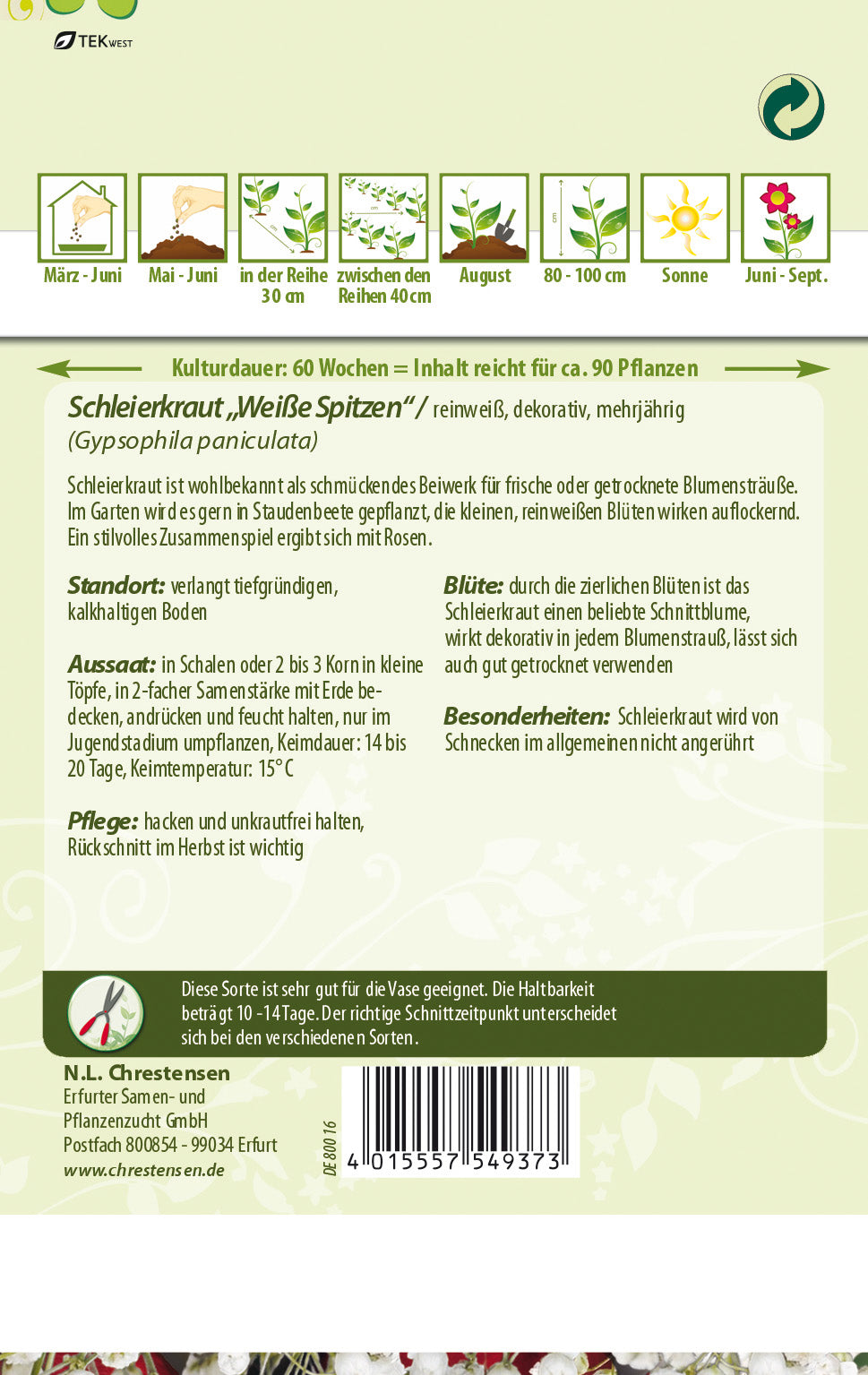 N.L. Chrestensen Schleierkraut Weiße Spitzen