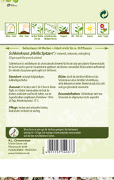 N.L. Chrestensen Schleierkraut Weiße Spitzen