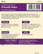 Pabst Keimkraft Prinzeß-Aster Mischung