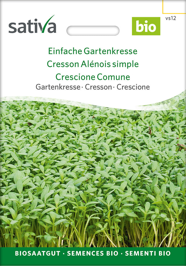 Sativa Gartenkresse Einfache Gartenkresse