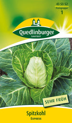 Quedlinburger Spitzkohl Express