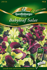 Quedlinburger Pflück-& Schnittsalat Mischung
