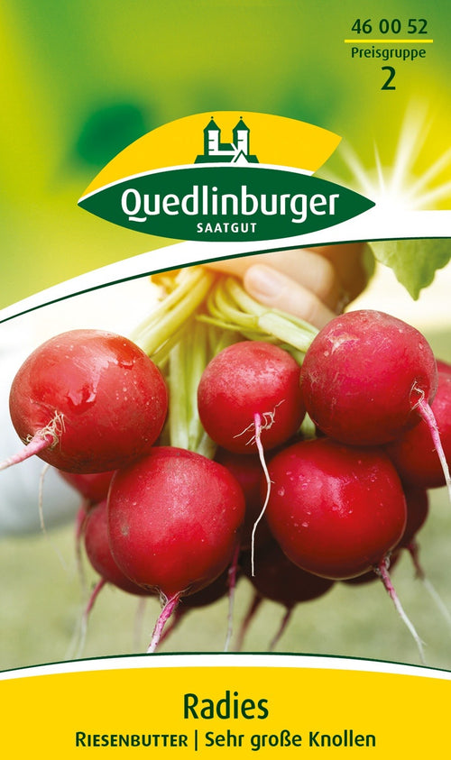 Quedlinburger Radieschen Riesenbutter