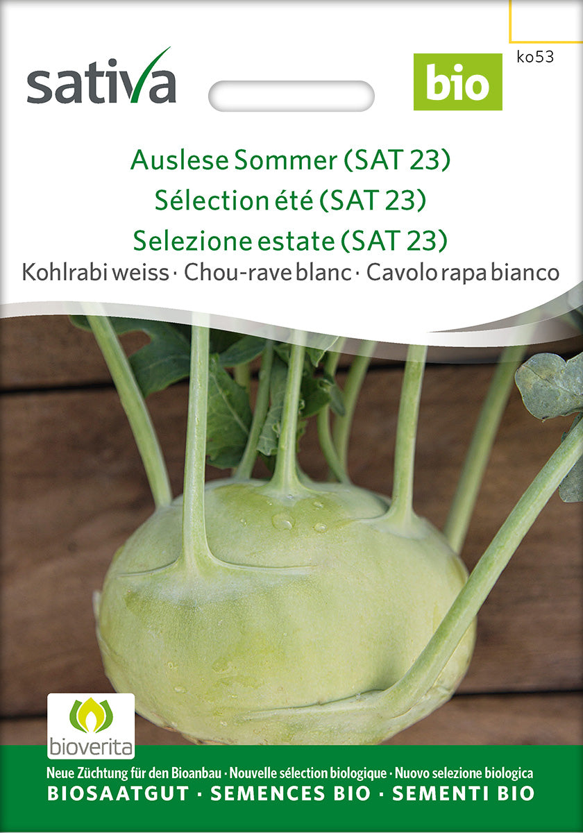 Sativa Kohlrabi weiss Auslese Sommer (SAT 23)