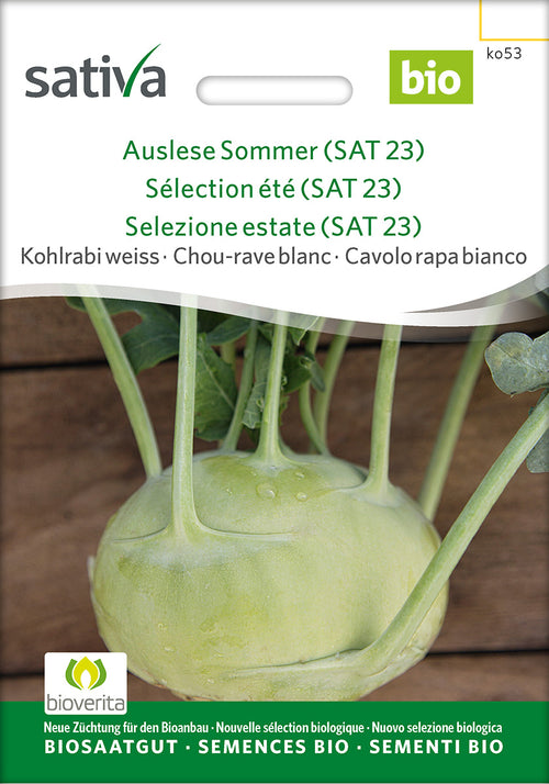 Sativa Kohlrabi weiss Auslese Sommer (SAT 23)