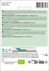Sativa Glatte Petersilie Glatte Petersilie Saatscheibe
