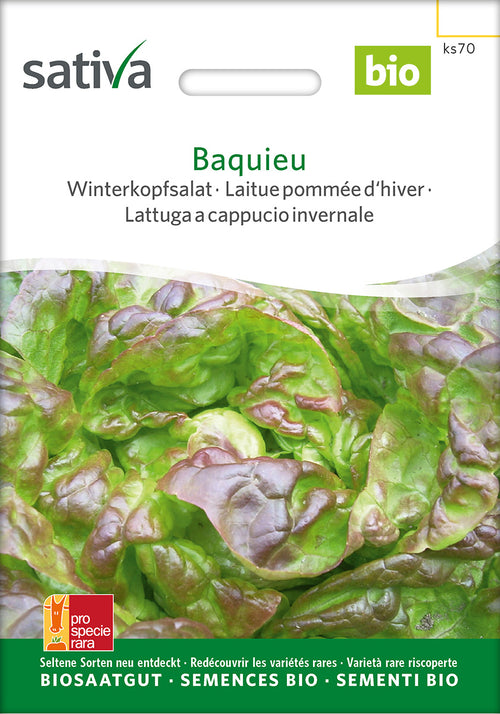 Sativa BIO Winterkopfsalat Baquieu