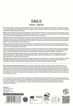 SPERLI Dahlie Thomas A. Edison