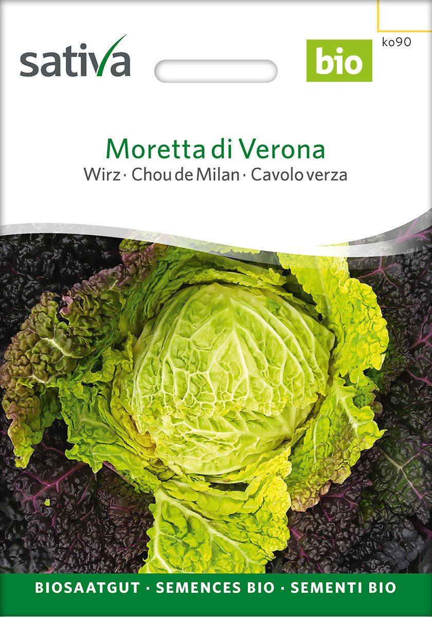 Sativa Wirz Moretta di Verona