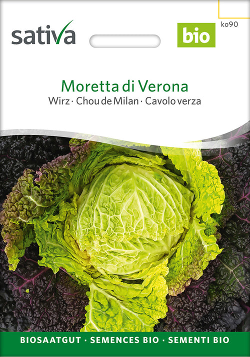 Sativa Wirz Moretta di Verona