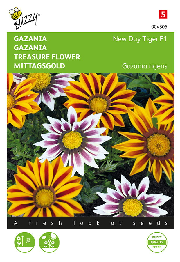 Buzzy Seeds Mittagsgold New Day Tiger F1 Mischung