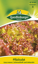 Quedlinburger Pflück-& Schnittsalat Lollo rossa