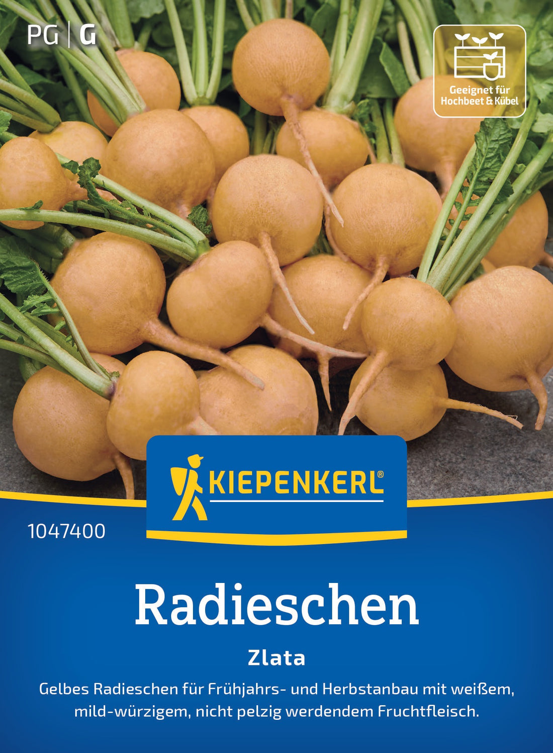 Kiepenkerl Radieschen Zlata
