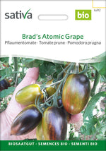 Sativa Pflaumentomate Brad's Atomic Grape