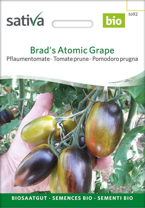 Sativa Pflaumentomate Brad's Atomic Grape