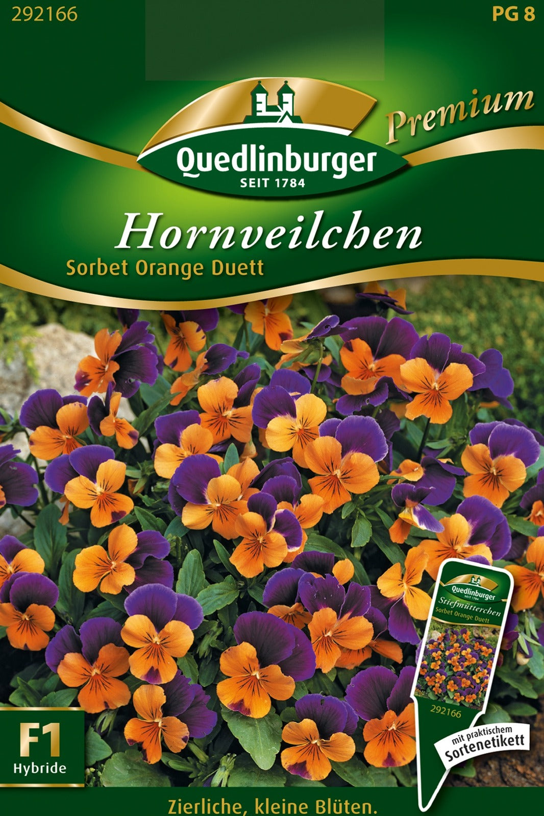 Quedlinburger Hornveilchen Sorbet Orange Duett