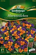 Quedlinburger Hornveilchen Sorbet Orange Duett