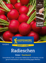 Kiepenkerl Radieschen Ester Saatband