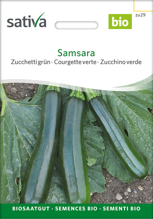 Sativa Zucchetti grün Samsara