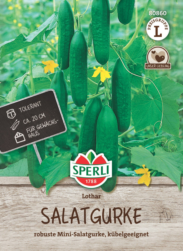 SPERLI Salatgurke Lothar