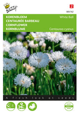 Buzzy Seeds Kornblume White Ball